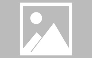 潮州网页设计师周记（网页设计周记26篇300字）