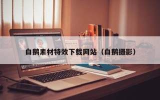 潮州白鹅素材特效下载网站（白鹅摄影）